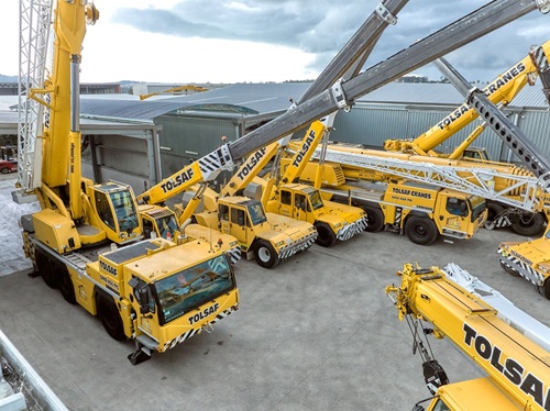 5_eem_crane_tolsaf_auction_pickles_2311.jpg.jpeg
