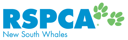 RSPCA-NSW_Reconstruction.png