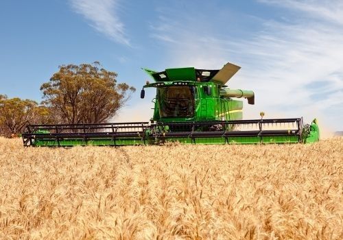 Agricultural Auctions