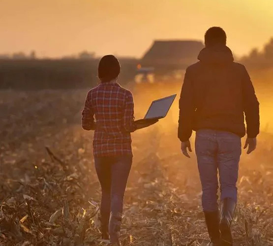 Why sell with Pickles Ag?