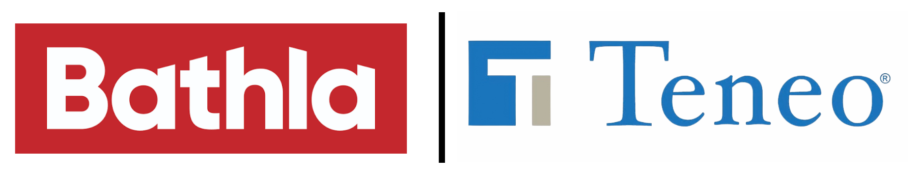 Bathla Logo