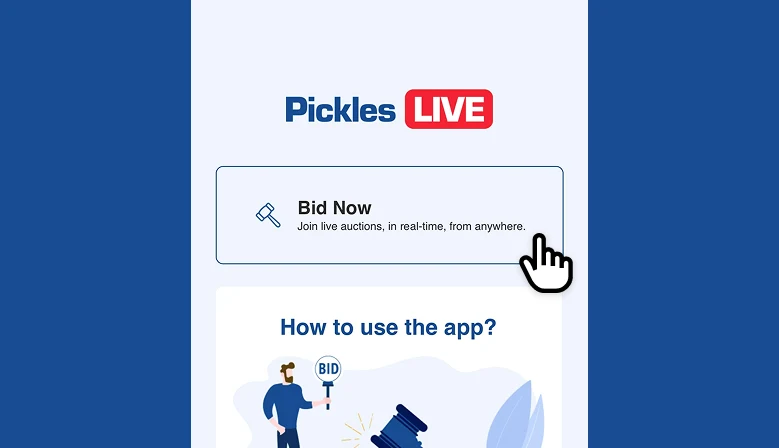 Bid Now Picture Pickles
