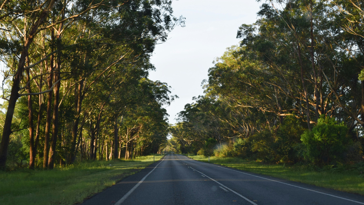 The Ultimate Caravan Guide this Easter