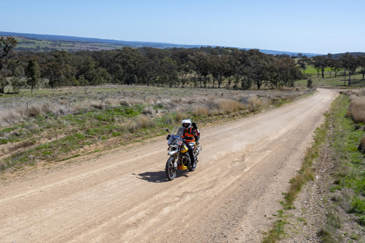 Pickles adventure ride